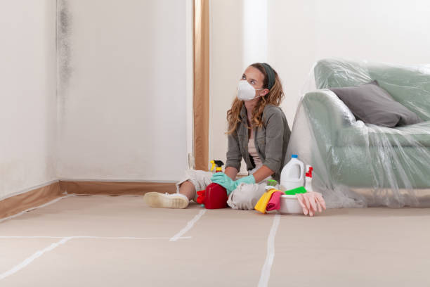 Trusted Mold Remediation service in Highland Park, MI - Cheap Mold Removal